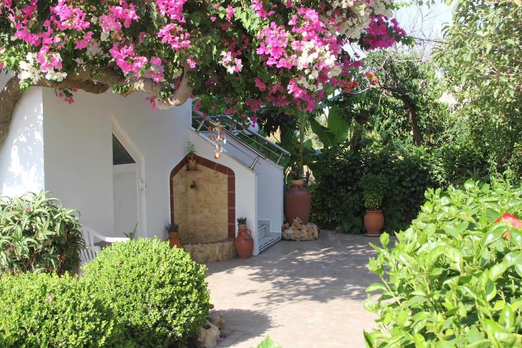 Paul'S Garden Studios Haraki Ngoại thất bức ảnh